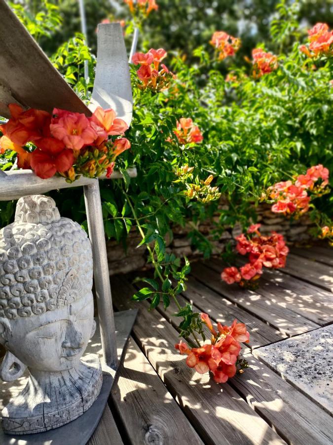Villa Cabrida Cabrieres-d'Avignon ภายนอก รูปภาพ